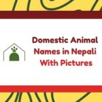 Domestic Animal Names in Nepali