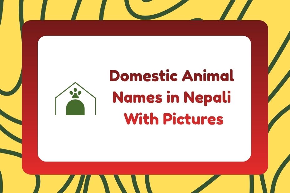 Domestic Animal Names in Nepali