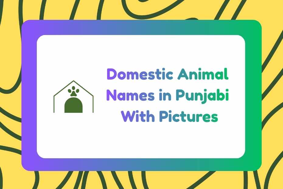 Domestic Animal Names in Punjabi