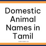 Domestic Animal Names in Tamil