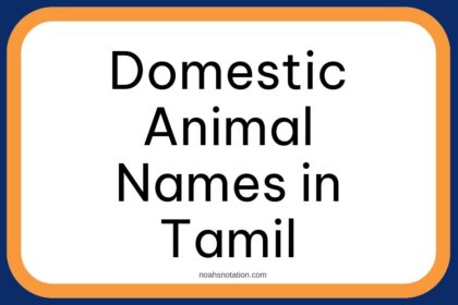 Domestic Animal Names in Tamil