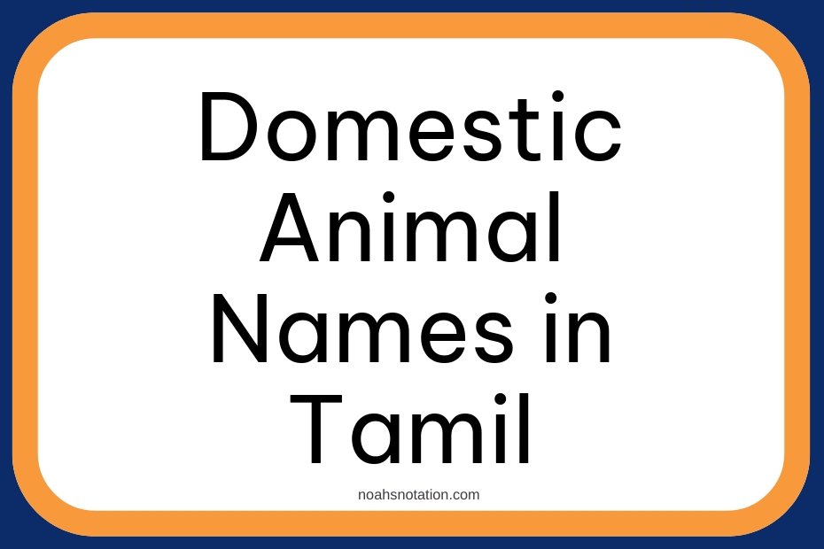 Domestic Animal Names in Tamil
