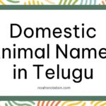 Domestic Animal Names in Telugu
