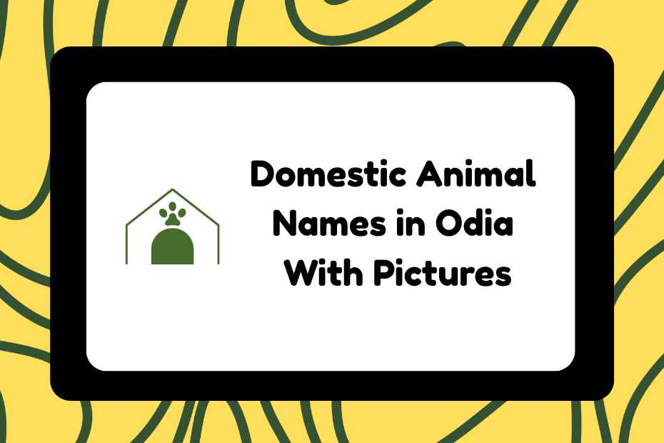 Domestic Animal Names in Odia