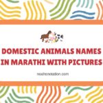 Domestic Animals Names in Marathi With Pictures
