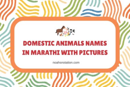 Domestic Animals Names in Marathi With Pictures