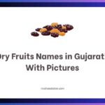 Dry Fruits Names in Gujarati