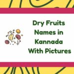 Dry Fruits Names in Kannada