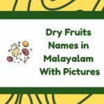 Dry Fruits Names in Malayalam