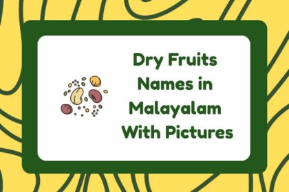 Dry Fruits Names in Malayalam
