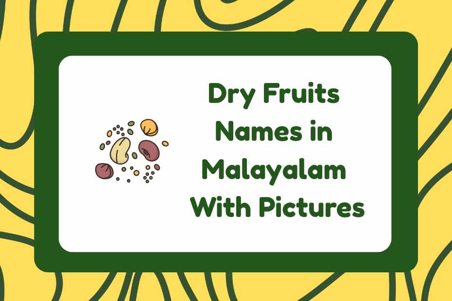 Dry Fruits Names in Malayalam
