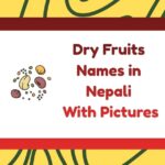 Dry Fruits Names in Nepali