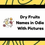 Dry Fruits Names in Odia