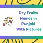 Dry Fruits Names in Punjabi