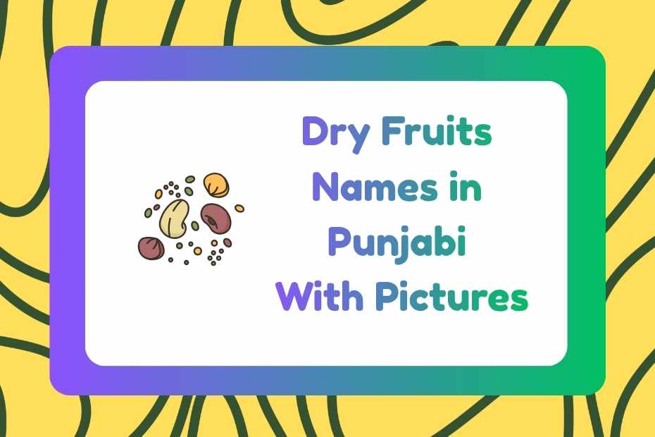 Dry Fruits Names in Punjabi