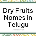 Dry Fruits Names in Telugu