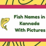 Fish Names in Kannada
