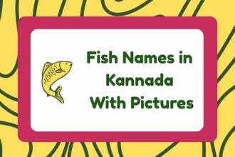 Fish Names in Kannada