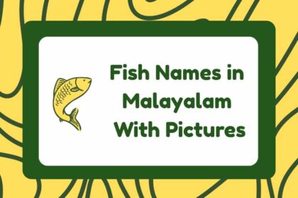 Fish Names in Malayalam