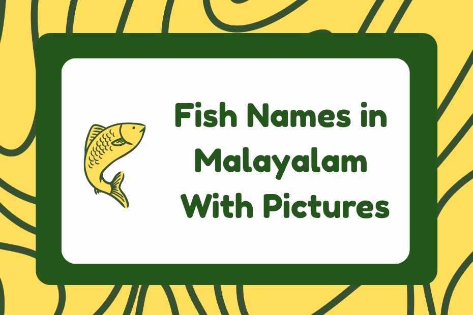 Fish Names in Malayalam