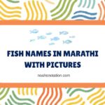 Fish Names in Marathi With Pictures