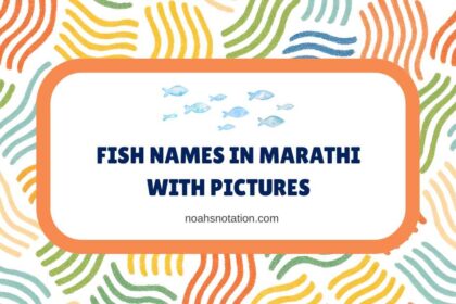 Fish Names in Marathi With Pictures