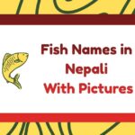 Fish Names in Nepali