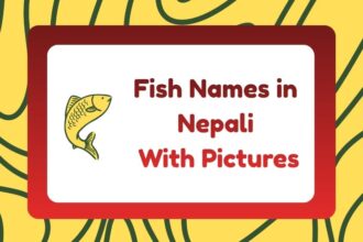 Fish Names in Nepali