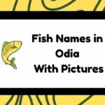 Fish Names in Odia