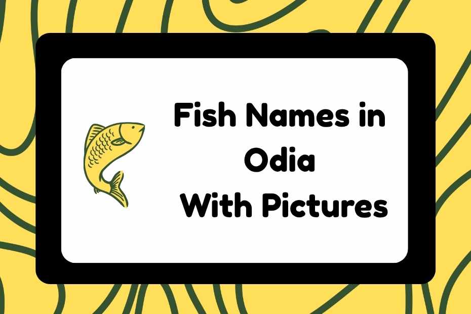 Fish Names in Odia