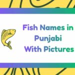 Fish Names in Punjabi