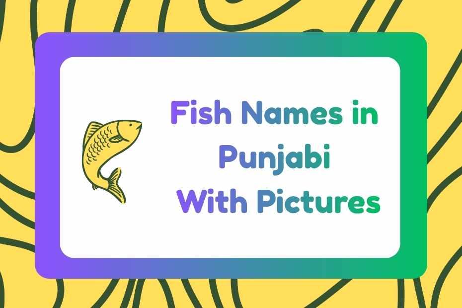 Fish Names in Punjabi