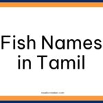 Fish Names in Tamil