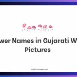 Flower Names in Gujarati With Pictures