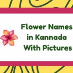 Flower Names in Kannada