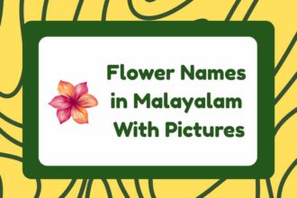 Flower Names in Malayalam