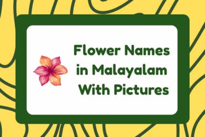 Flower Names in Malayalam