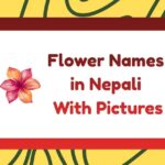 Flower Names in Nepali