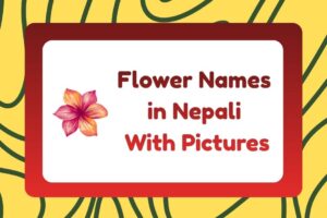 Flower Names in Nepali