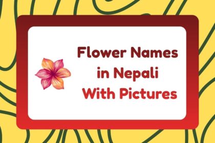 Flower Names in Nepali