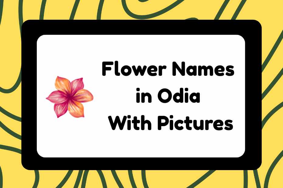 Flower Names in Odia