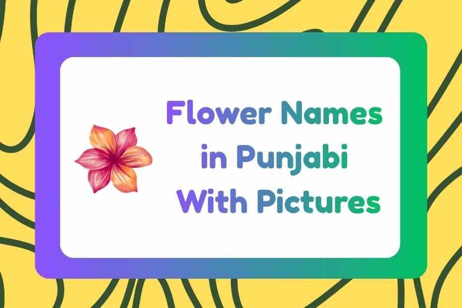Flower Names in Punjabi