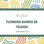 Flowers Names In Telugu