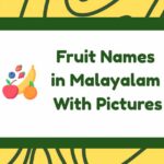 Fruit Names in Malayalam