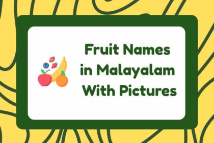 Fruit Names in Malayalam