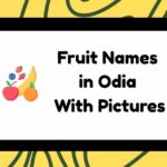Fruit Names in Odia