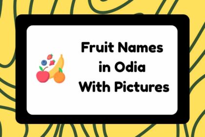 Fruit Names in Odia