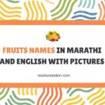 Fruits Names in Marathi and English with Pictures