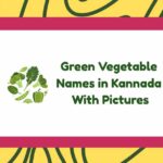 Green Vegetable Names in Kannada