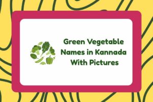 Green Vegetable Names in Kannada